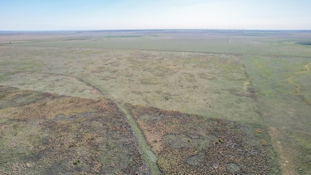 80+/- Acre Conservation Reserve Program Tract, Parmer County - image 1
