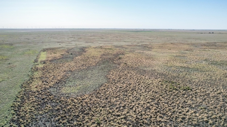 80+/- Acre Conservation Reserve Program Tract, Parmer County - image 5