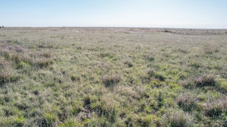 80+/- Acre Conservation Reserve Program Tract, Parmer County - image 18