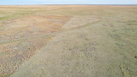 80+/- Acre Conservation Reserve Program Tract, Parmer County - image 13
