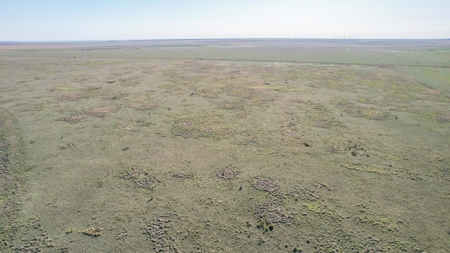 80+/- Acre Conservation Reserve Program Tract, Parmer County - image 8