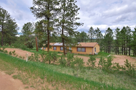 Mountain Home on Two acres in Florissant, Colorado - image 1