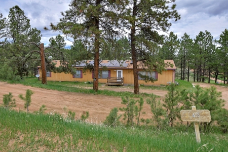 Mountain Home on Two acres in Florissant, Colorado - image 3
