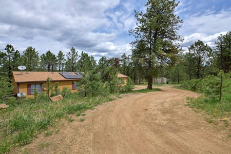 Mountain Home on Two acres in Florissant, Colorado - image 4