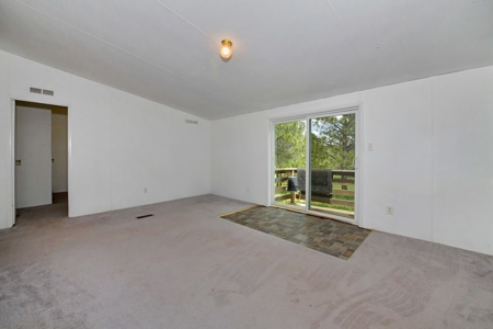 Mountain Home on Two acres in Florissant, Colorado - image 19