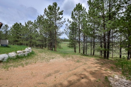 Mountain Home on Two acres in Florissant, Colorado - image 6