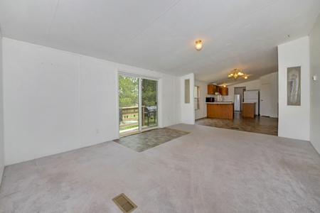 Mountain Home on Two acres in Florissant, Colorado - image 20
