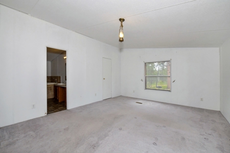 Mountain Home on Two acres in Florissant, Colorado - image 28