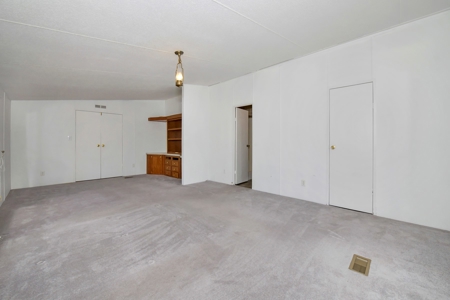 Mountain Home on Two acres in Florissant, Colorado - image 29