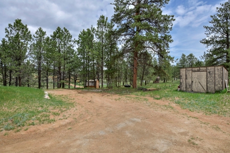 Mountain Home on Two acres in Florissant, Colorado - image 5