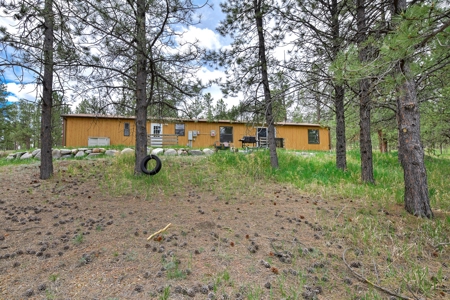 Mountain Home on Two acres in Florissant, Colorado - image 9