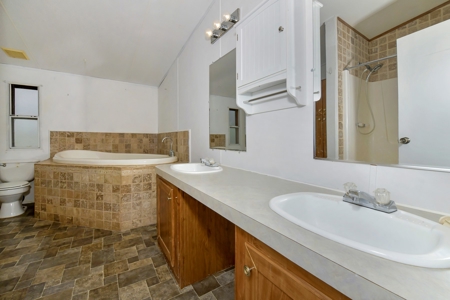 Mountain Home on Two acres in Florissant, Colorado - image 31