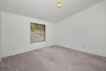 Mountain Home on Two acres in Florissant, Colorado - image 22