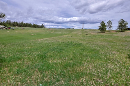 Mountain Home on Two acres in Florissant, Colorado - image 10