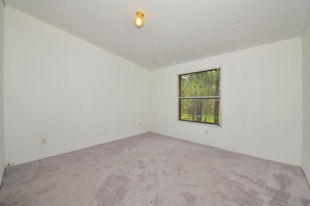 Mountain Home on Two acres in Florissant, Colorado - image 21