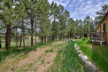 Mountain Home on Two acres in Florissant, Colorado - image 12