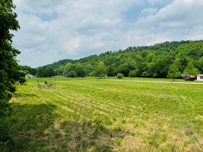 Peaceful Retreat on 14 acres - image 26