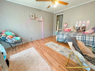 Peaceful Retreat on 14 acres - image 2
