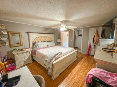 Peaceful Retreat on 14 acres - image 8