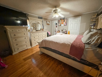Peaceful Retreat on 14 acres - image 7