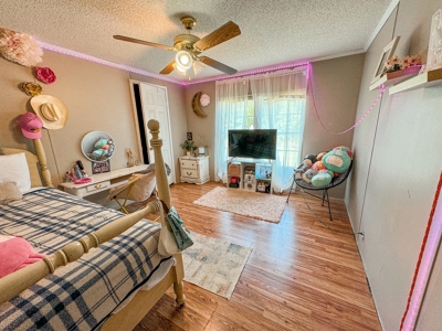 Peaceful Retreat on 14 acres - image 1