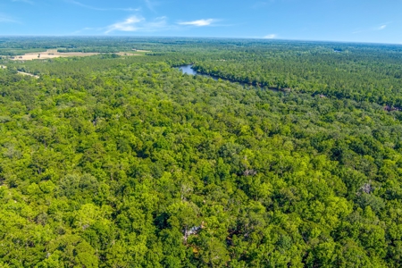 Suwannee River Proerty For Sale!!! - image 18