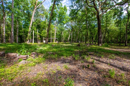 Suwannee River Proerty For Sale!!! - image 7