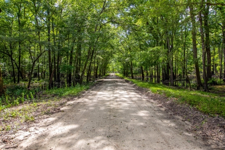 Suwannee River Proerty For Sale!!! - image 12