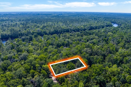 Suwannee River Proerty For Sale!!! - image 17