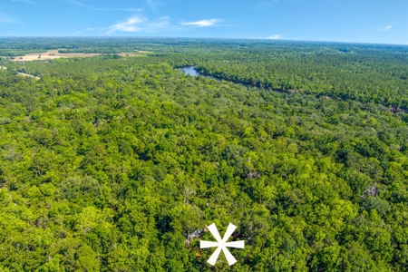 Suwannee River Proerty For Sale!!! - image 19