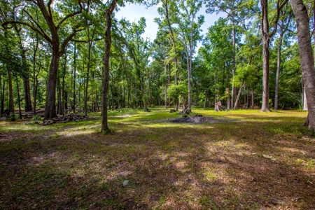 Suwannee River Proerty For Sale!!! - image 3