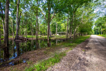 Suwannee River Proerty For Sale!!! - image 10