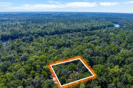 Suwannee River Proerty For Sale!!! - image 15