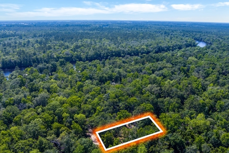Suwannee River Proerty For Sale!!! - image 16