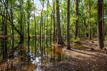 Suwannee River Proerty For Sale!!! - image 6