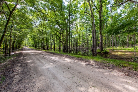 Suwannee River Proerty For Sale!!! - image 9