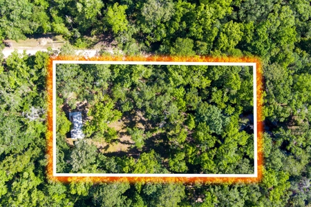 Suwannee River Proerty For Sale!!! - image 22