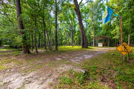 Suwannee River Proerty For Sale!!! - image 1