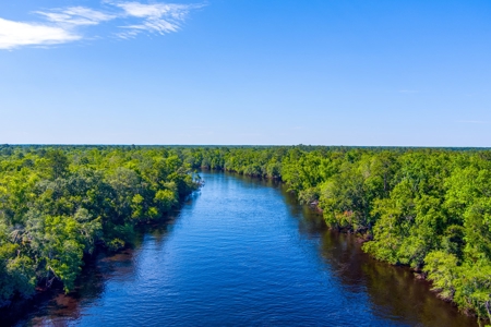 Suwannee River Proerty For Sale!!! - image 20