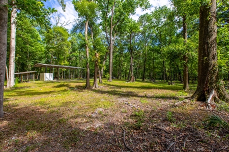 Suwannee River Proerty For Sale!!! - image 4