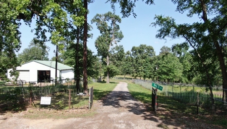 LAKEFRONT HOME on Lake Palestine - image 12