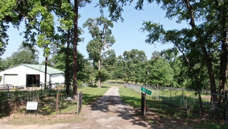 LAKEFRONT HOME on Lake Palestine - image 16