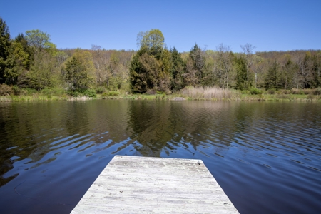 Lakefront Log Cabin at Sean Lake - image 13