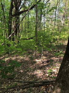 1/2 Acre Edgewater Heights  Barren River Lake Area - image 3