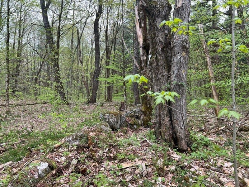 Acreage