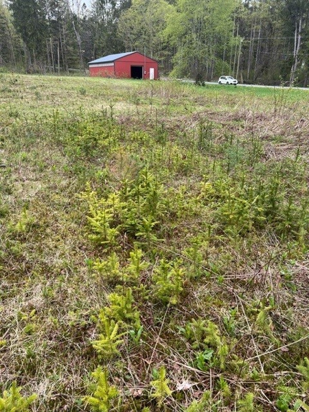 Barn
