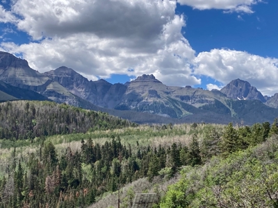 "Mountain Sanctuary: Spectacular Views, Outdoor Adventures - image 31
