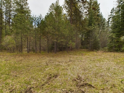 Cabin with Ponds & Creek on 38 Acres for Sale in Council ID - image 14