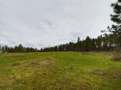 Cabin with Ponds & Creek on 38 Acres for Sale in Council ID - image 16
