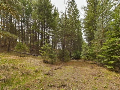 Cabin with Ponds & Creek on 38 Acres for Sale in Council ID - image 15
